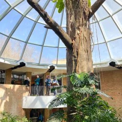 Kalamazoo Nature Center - Kalamazoo