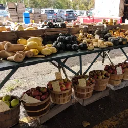 Kalamazoo Valley Community College Farmers Market - Kalamazoo