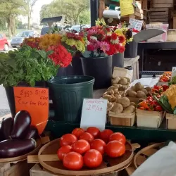 Kalamazoo Valley Community College Farmers Market - Kalamazoo