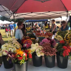 Kalamazoo Valley Community College Farmers Market - Kalamazoo