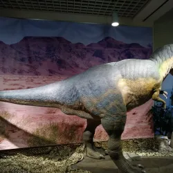 Kalamazoo Valley Museum - Kalamazoo