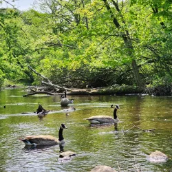 Milham Park - Kalamazoo