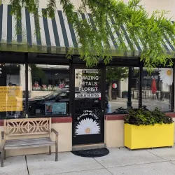 Downtown Lake Orion - Lake Orion