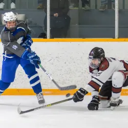 Lake Orion Ice Arena - Lake Orion
