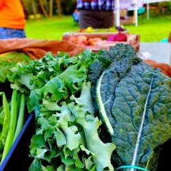 Orion Art Center - Lake Orion