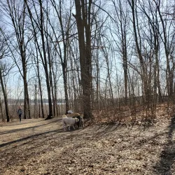 Orion Oaks County Park - Lake Orion