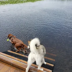 Orion Oaks County Park - Lake Orion