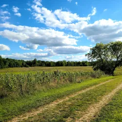 Orion Oaks County Park - Lake Orion