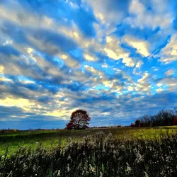 Orion Township Park - Lake Orion