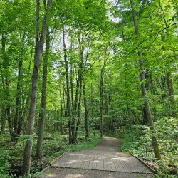 Orion Township Park - Lake Orion