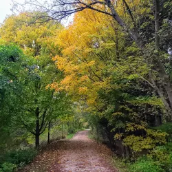 Paint Creek Trail - Lake Orion