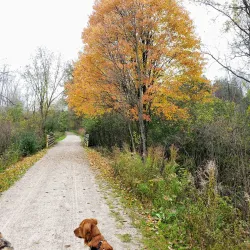 Paint Creek Trail - Lake Orion