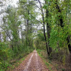 Paint Creek Trail - Lake Orion