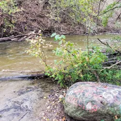 Paint Creek Trail - Lake Orion