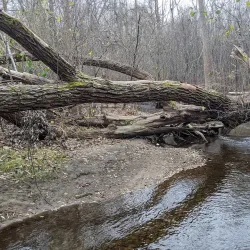 Paint Creek Trail - Lake Orion