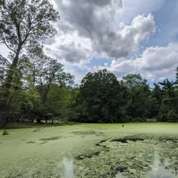 Fenner Nature Center - Lansing