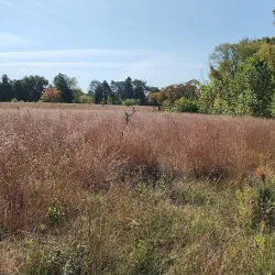 Fenner Nature Center - Lansing