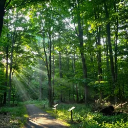 Fenner Nature Center - Lansing