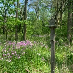Fenner Nature Center - Lansing
