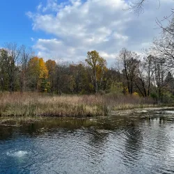 Fenner Nature Center - Lansing
