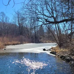 Fenner Nature Center - Lansing