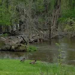 Lansing River Trail - Lansing
