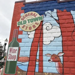 Old Town Lansing - Lansing