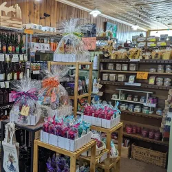 Old Town Lansing - Lansing