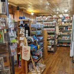 Old Town Lansing - Lansing