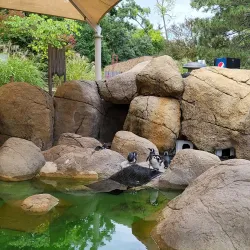 Potter Park Zoo - Lansing