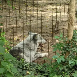 Potter Park Zoo - Lansing