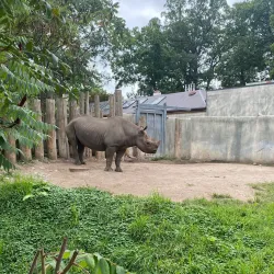 Potter Park Zoo - Lansing