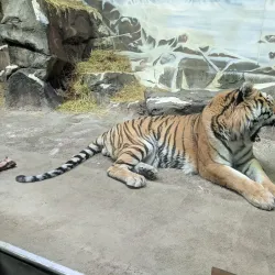 Potter Park Zoo - Lansing