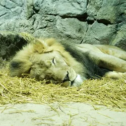 Potter Park Zoo - Lansing