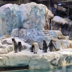 Detroit Zoo - Madison Heights