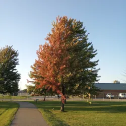 Madison Heights Civic Center - Madison Heights