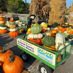Oakland County Farmers Market - Madison Heights