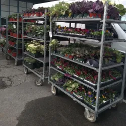 Oakland County Farmers Market - Madison Heights