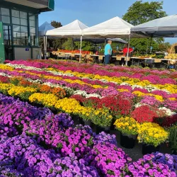 Oakland County Farmers Market - Madison Heights