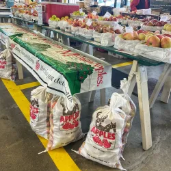 Oakland County Farmers Market - Madison Heights