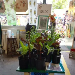 Oakland County Farmers Market - Madison Heights