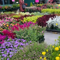 Oakland County Farmers Market - Madison Heights