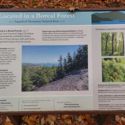 Sugarloaf Mountain - Marquette