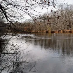 Burchfield Park - Mason