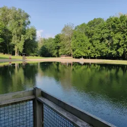 Burchfield Park - Mason