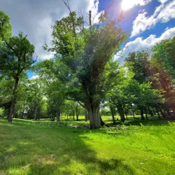 Burchfield Park - Mason