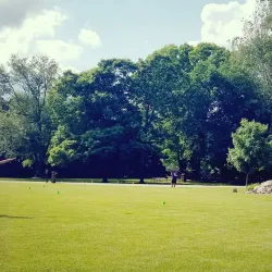 Burchfield Park - Mason