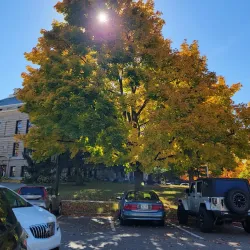 Ingham County Courthouse - Mason