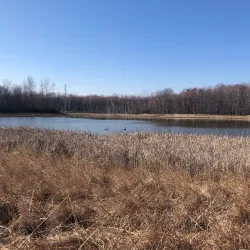Chippewa Nature Center - Midland