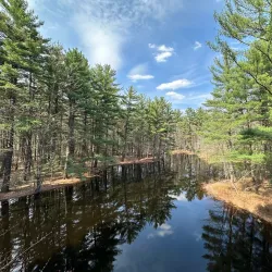 Dow Gardens - Midland